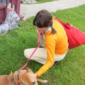 Meet your Posher, Brenda m.